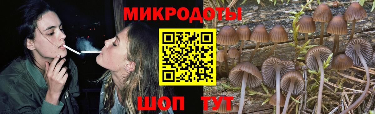 Галлюциногенные грибы MAGIC MUSHROOMS  Вход с VPN  Дивногорск 